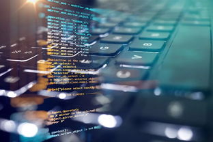 前景可待，大有可为 徐州技师学院信息工程学院网络技术服务的发展潜力